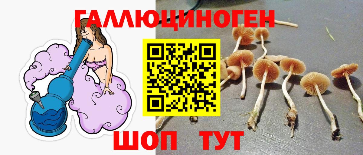Псилоцибиновые грибы мицелий Братск