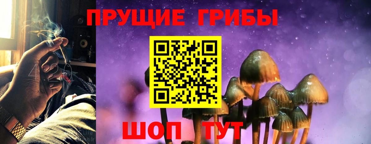 Братск  Галлюциногенные грибы GOLDEN TEACHER  Вход с VPN 